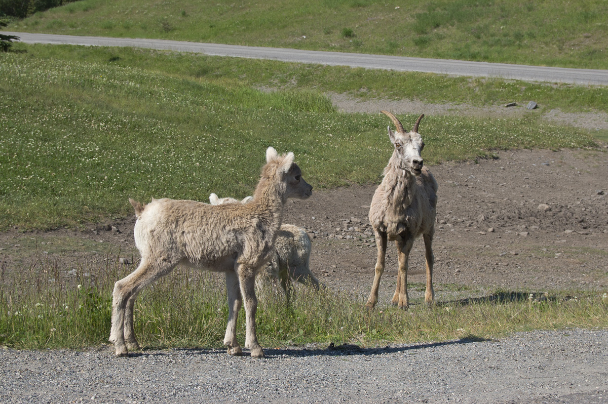 DSC_0066